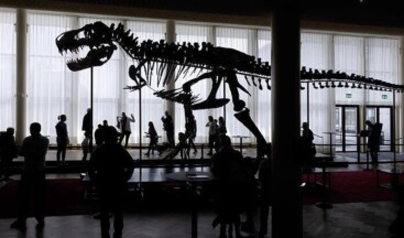 İsviçre’de dev dinozor iskeleti açık artırmaya çıkarılacak