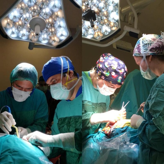 DR B