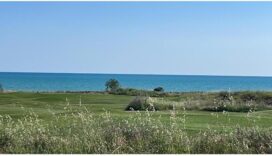 ARSA MANAVGAT