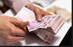 NEVİN TAŞTAN;TORBA YASADA MECLİSE SUNULAN MADDELER !..