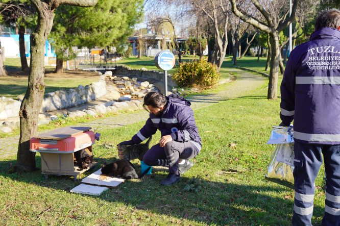 TUZLA BELEDİYESİ FIRTINA SONRASI CAN DOSTLARINI YALNIZ BIRAKMADI