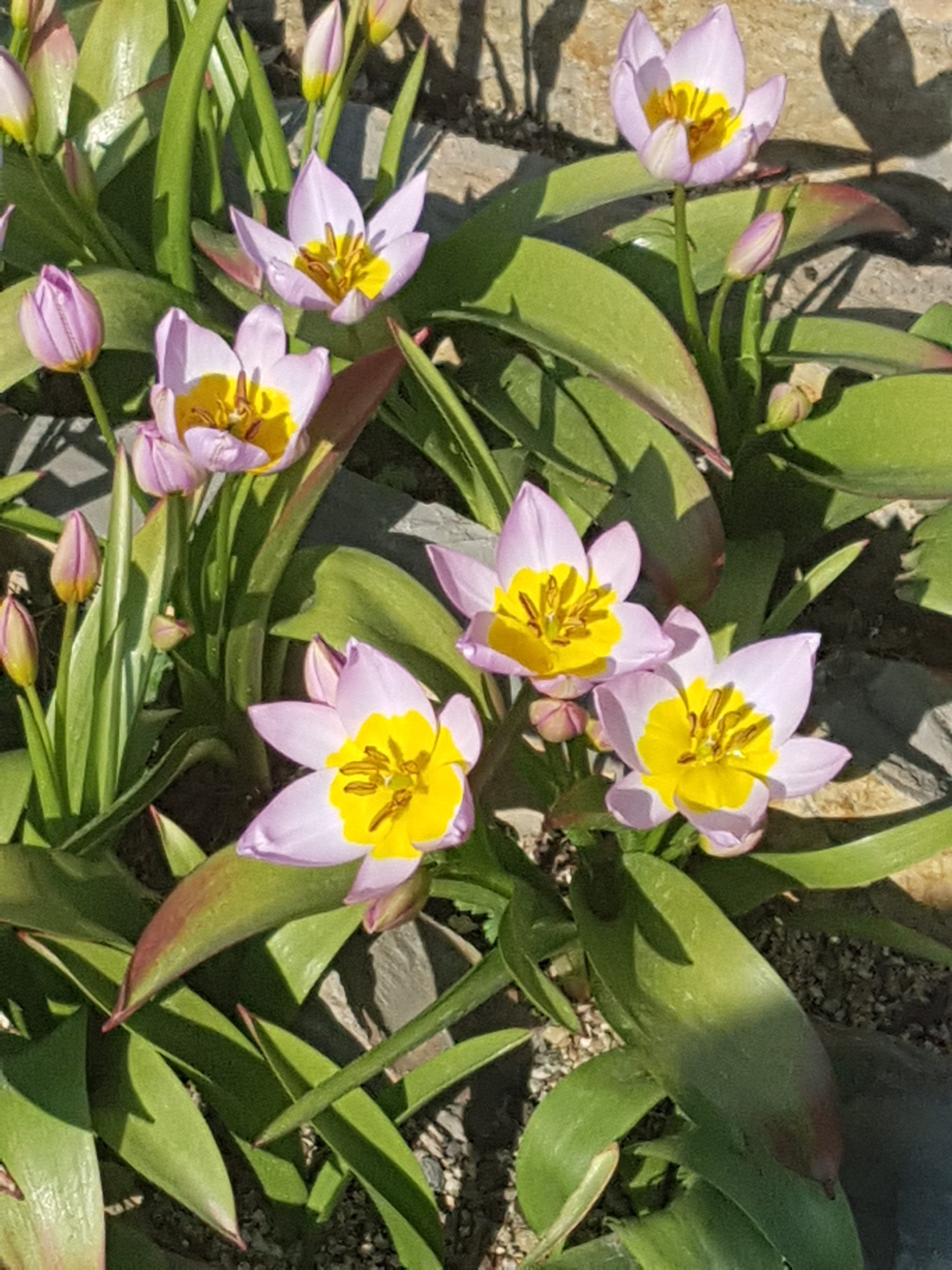 ALİ SERDAR ÇOLAKOĞLU: “BU GŰN BAYRAM ÇOCUKLAR…”