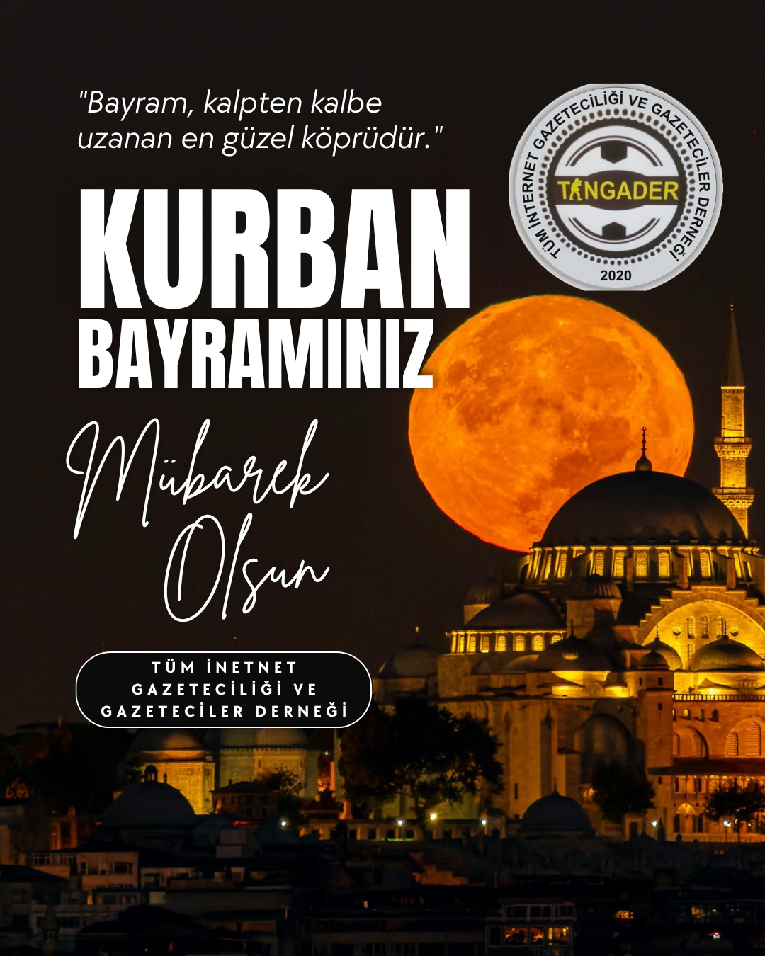 TİNGADER